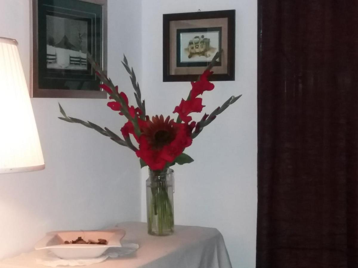 포르투 Casa Dragao B&B 외부 사진